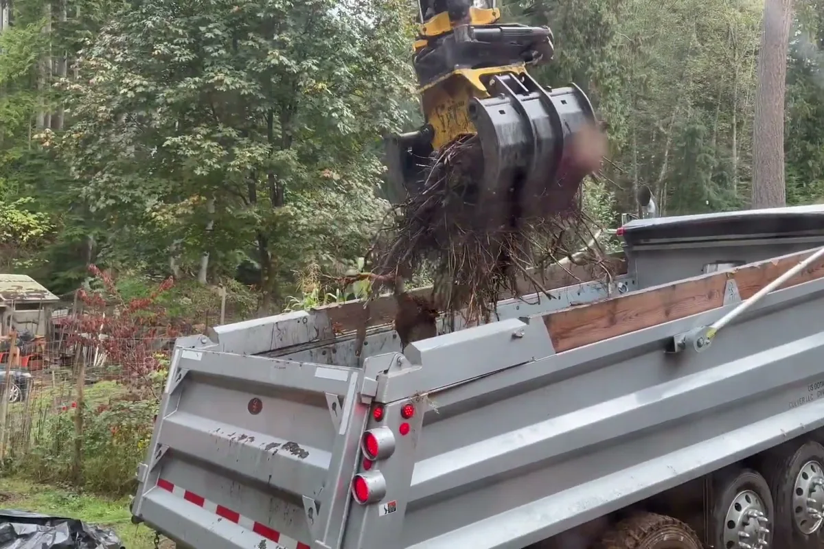 Sorting grapple dropping pulled brush and root balls into a dump truck