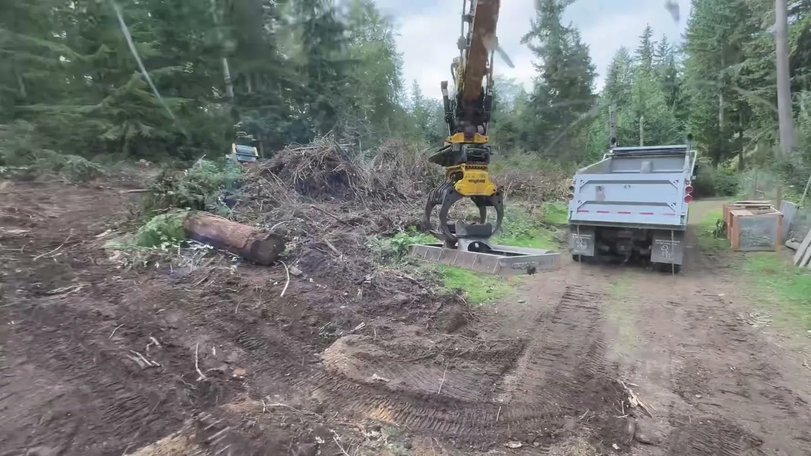 Brush Clearing & Blackberry Removal in Whidbey Island, WA